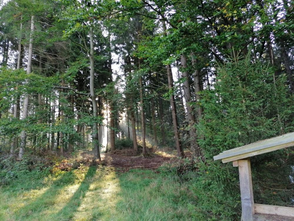 Landhotel Haagerhof Aigen im Muehlkreis Bagian luar foto