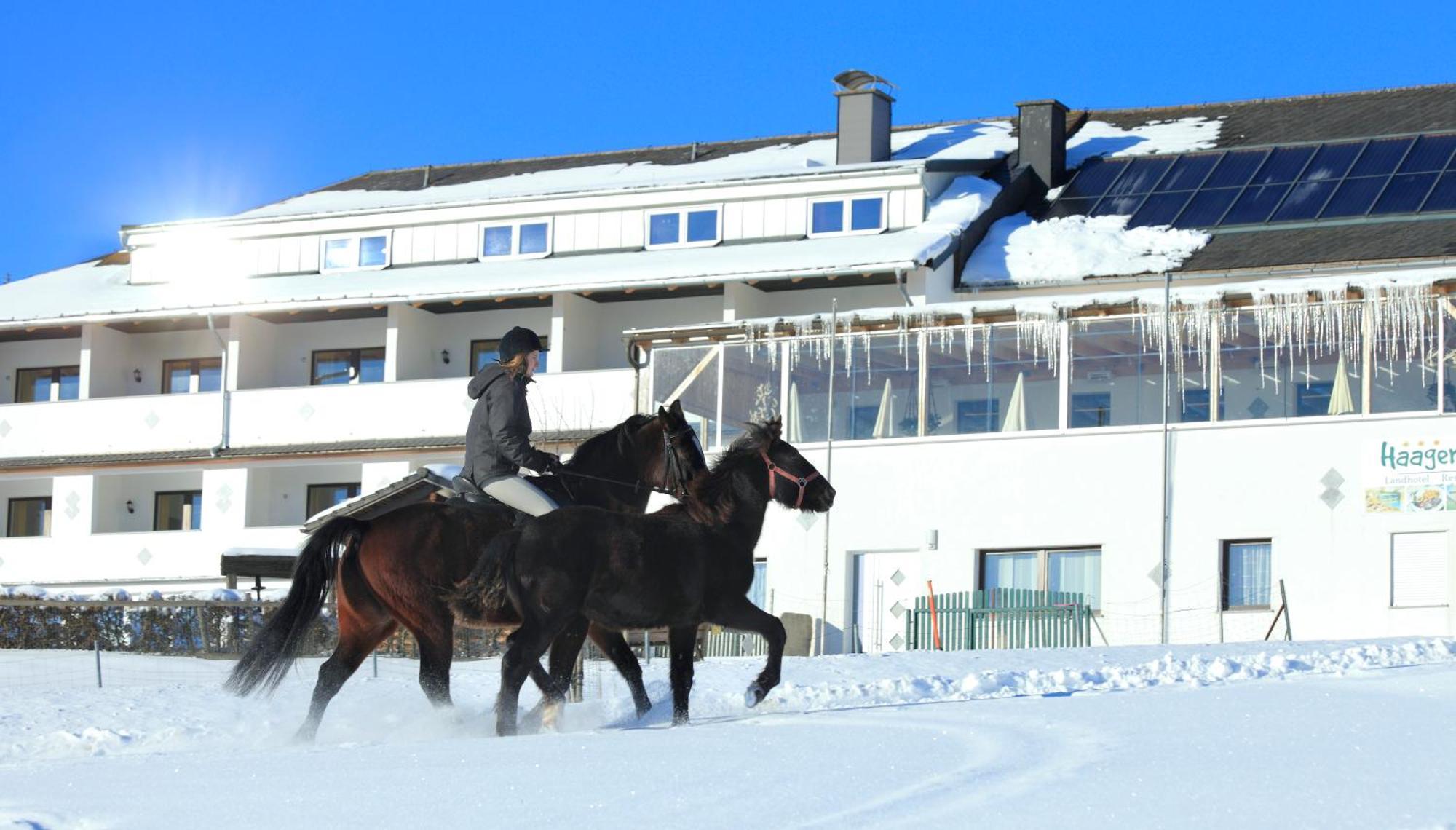 Landhotel Haagerhof Aigen im Muehlkreis Bagian luar foto
