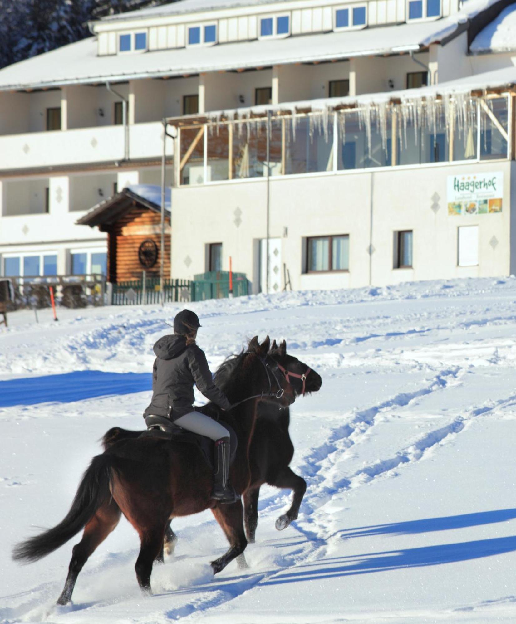 Landhotel Haagerhof Aigen im Muehlkreis Bagian luar foto